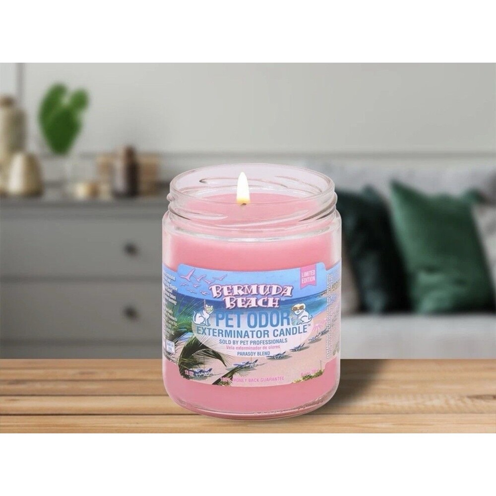 smoke odor candle Burmuda Beach And Tangie Flavor - 2 Candles